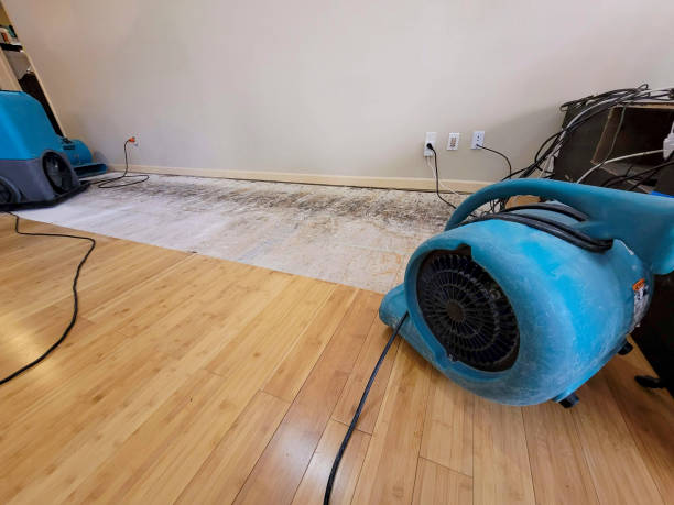 Professional Emergency Water Damage technician working in Jurupa Valley, CA